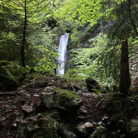 Daire Geigelsteinstrasse